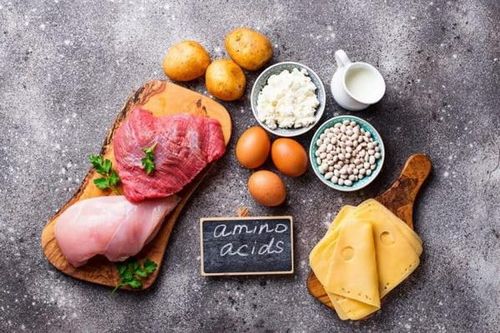 Axit amin và ứng dụng trong dinh dưỡng điều trị