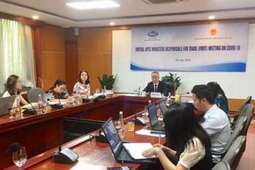 APEC tăng cường đoàn kết quốc tế, ứng phó hiệu quả với Covid-19