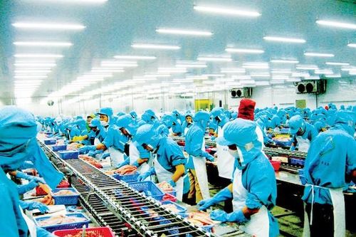 Tăng tốc với EVFTA