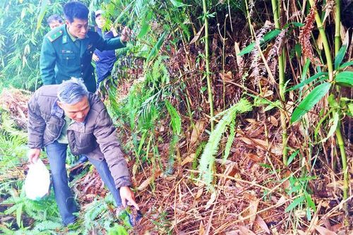 Tháng 7 trên hành trình về Pò Hèn