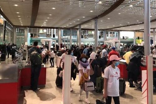 Đưa gần 540 công dân Việt Nam từ các nước về nước an toàn