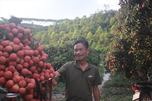 Sáng tạo + quyết liệt = 7.000 tỷ đồng