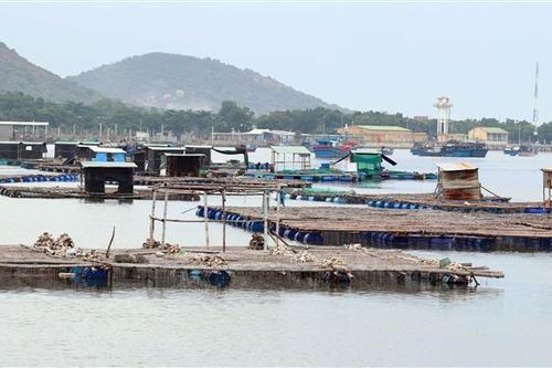 Ninh Thuận mở hướng cho nghề nuôi trồng thủy sản trước thời cơ mới