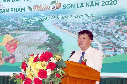 Tỉnh Sơn La phấn đấu xuất khẩu 75.000 tấn nhãn trong năm nay