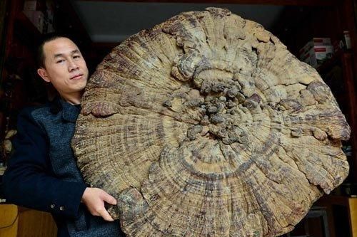 Phát hiện vật lạ, chàng trai nhặt phế liệu 'bỏ túi' 23 nghìn tỷ đồng