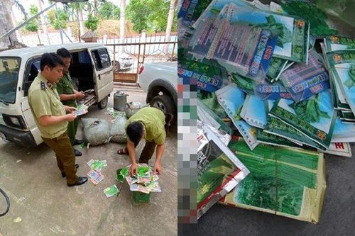 'Chặn đứng' hành vi thu gom hạt giống rau không rõ nguồn gốc về bán kiếm lời