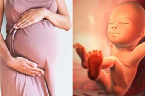 4 dấu hiệu 'vàng' cho thấy trẻ thông minh từ trong bụng mẹ