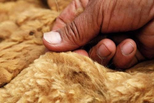 'Giật mình' với những loại vải đắt nhất thế giới, loại đặc biệt làm từ vụn kim cương