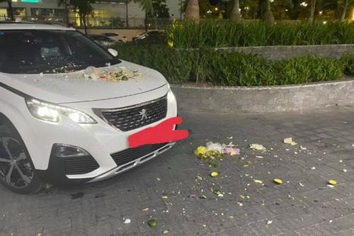 Kinh hãi túi rác chứa đầy mảnh sứ từ tầng cao chung cư 'rơi' trúng xế hộp đậu dưới sảnh