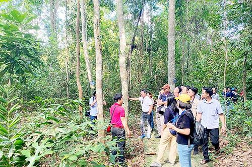 Khám phá vườn di sản ASEAN