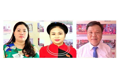 Các ý kiến tại Đại hội đại biểu Đảng bộ huyện Sơn Dương lần thứ XXI, nhiệm kỳ 2020-2025