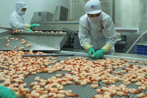 Bất chấp Covid-19, Xuất khẩu tôm vẫn tăng trưởng tích cực tại nhiều thị trường chủ chốt