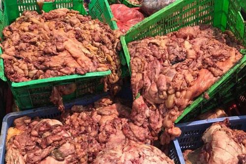 Bắt vụ vận chuyển 1 tấn nội tạng bốc mùi