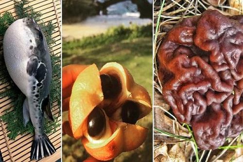 Top 3 thực phẩm có lượng độc tố cực cao nhưng vẫn được ưa chuộng sử dụng