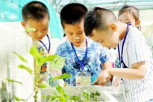 Thật khó có một mùa hè vui…