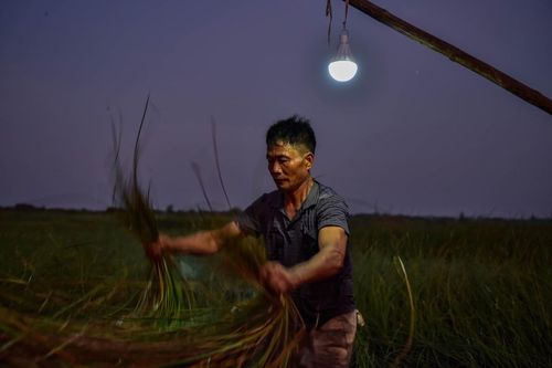 Người dân đi làm lúc 2-3h sáng để tránh nóng