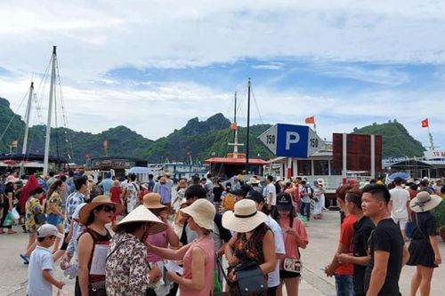Cát Bà đông nghẹt khách, bến phà tắc hơn một giờ không di chuyển