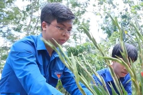 Học sử Việt thời vlog