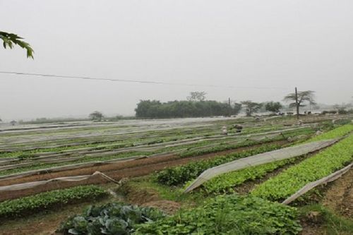 Huyện Thạch Thất: Đẩy mạnh xây dựng nông thôn mới kiểu mẫu