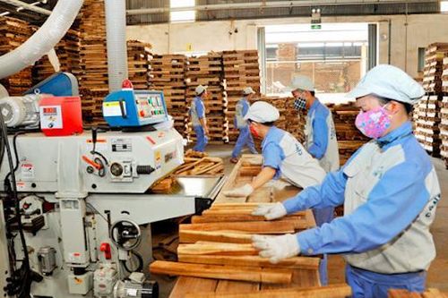 Kiểm soát chặt chẽ nguồn gốc gỗ