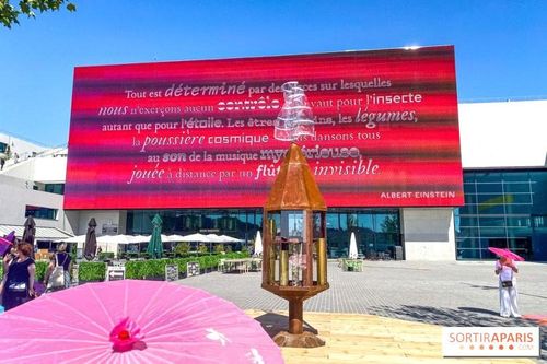 Cinéclub Paradiso thích ứng với mùa dịch