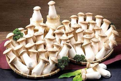 5 loại nấm là 'thần dược' cho sức khỏe, giúp giải độc, tăng cường sức khỏe mỗi ngày