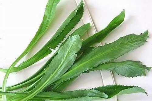 Bị những bệnh này đừng thừa tiền mua thuốc tây lấy mùi tàu dùng là khỏi ngay