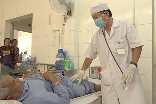 Đề phòng rắn lục cắn trong mùa mưa