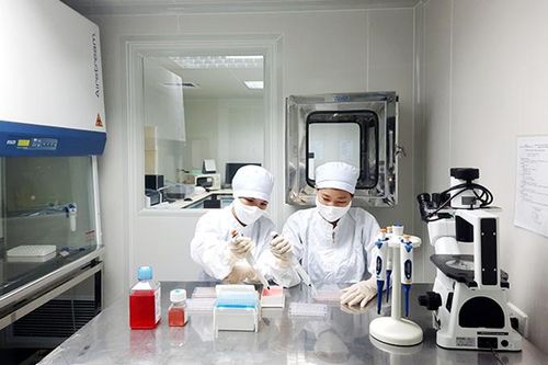 Đánh giá sự tồn lưu kháng thể kháng vi rút cúm A/H5N1 ở người