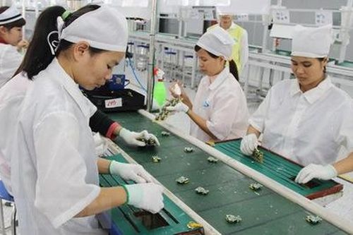 Tác động của FDI và xuất khẩu đến doanh nghiệp thâm dụng lao động của Việt Nam