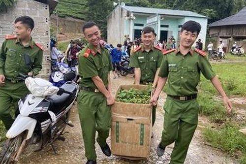 Sôi nổi chiến dịch 'Hành quân xanh' năm 2020 của Công an Lai Châu