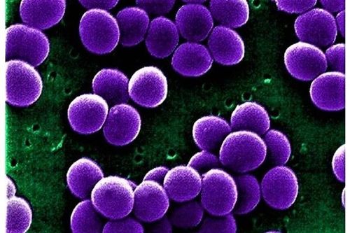 Một số lưu ý khi dùng thuốc tobramycin nhỏ tai