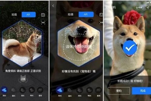 Thú cưng sở hữu 'face ID', hợp đồng bảo hiểm riêng