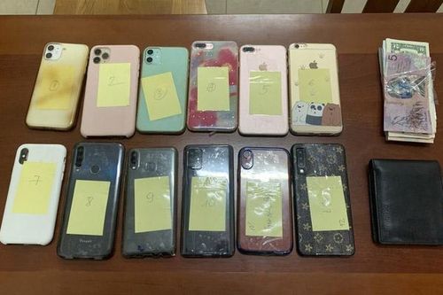 Bắt nhóm chuyên móc túi du khách ở Đà Lạt