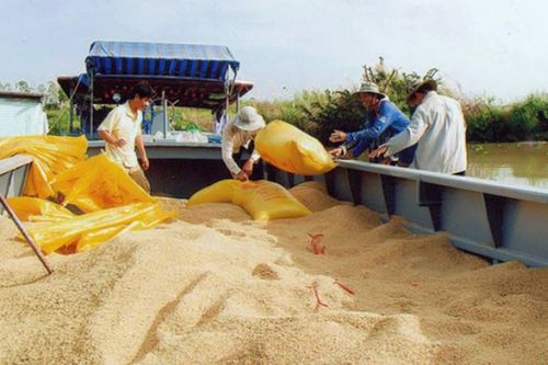 Thế mạnh tỷ USD của Việt Nam tăng tốc, vượt Thái Lan