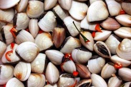 Bỏ vài quả ớt tươi vào chậu ngao ai cũng lạ nhưng kết quả lại vô cùng kỳ diệu, bạn cũng thử xem