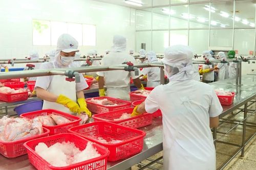 VASEP góp ý các dự thảo thông tư về nghề, công việc cho lao động chưa thành niên
