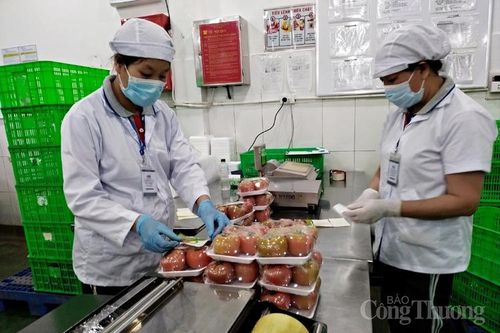 Kết nối nông sản Lâm Đồng vào hệ thống MM Mega Market