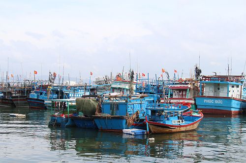 187 tàu cá chưa lắp đặt thiết bị giám sát hành trình