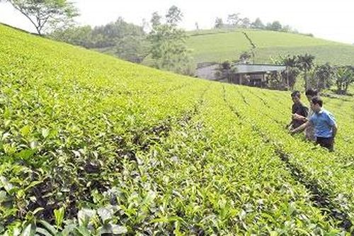 Nâng cao năng lực lãnh đạo, khai thác tốt tiềm năng, xây dựng huyện Thanh Ba phát triển nhanh và bền vững