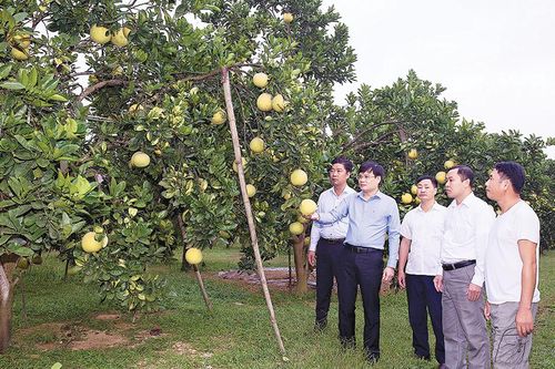 Giải pháp phát triển kinh tế, tạo đột phá trong nhiệm kỳ mới