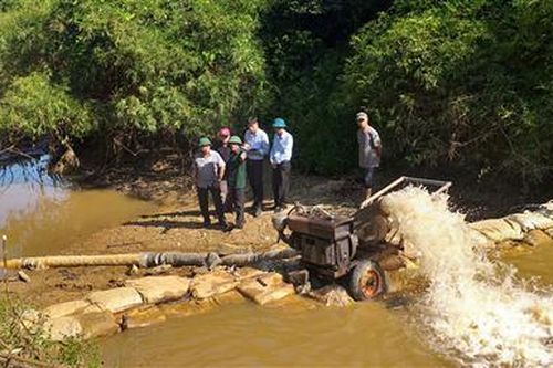 Cấp bách chống hạn cho lúa tại xã Triệu Ái