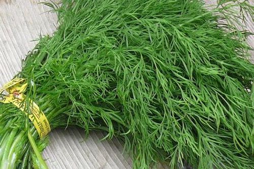 Những tác dụng tuyệt vời của rau thì là đối với sức khỏe