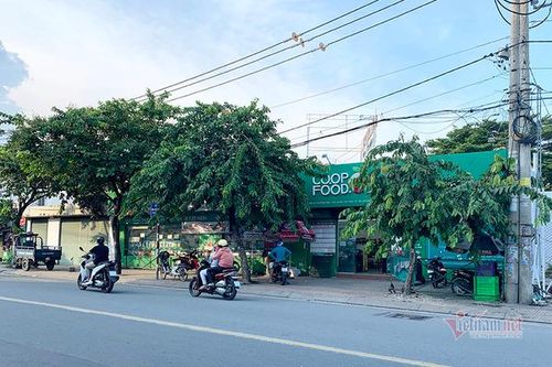 Có dấu hiệu 'thâu tóm', chiếm đoạt vốn tại Saigon Co.op