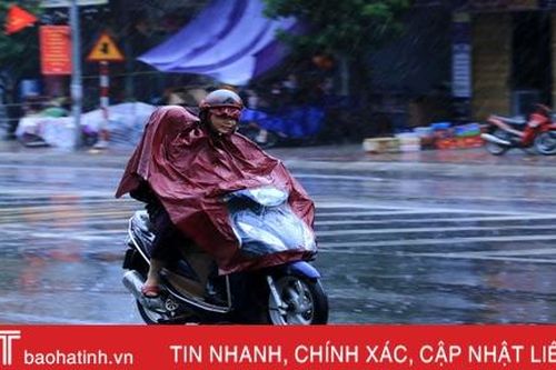 Cơn mưa 'vàng' giải nhiệt thị xã phía Nam Hà Tĩnh