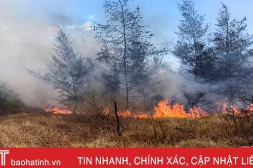 Kịp thời khống chế đám cháy rừng phi lao ven biển thị xã Kỳ Anh