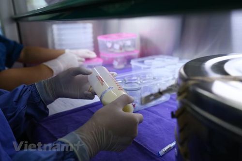 Bộ Y tế khai trương Ngân hàng sữa mẹ đầu tiên ở miền Bắc