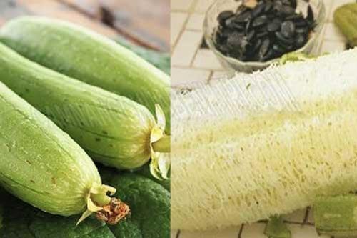 Xơ mướp - thứ tưởng bỏ đi nhưng có tác dụng chữa bệnh 'thần kỳ' ít người biết