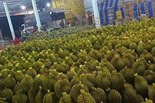 Lâm Đồng: Kết nối sản phẩm chủ lực vào hệ thống siêu thị MM Mega Market