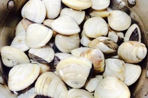 Thêm vài giọt này vào nước ngâm, ngao sẽ nhả sạch cát siêu nhanh